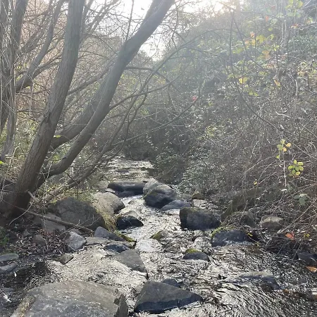 El Cabo Mairena